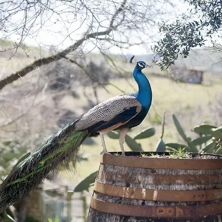 Aldeia Da Mata Pequena Mafra