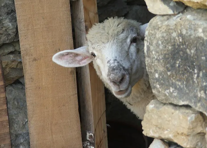 Aldeia Da Mata Pequena Feriepark