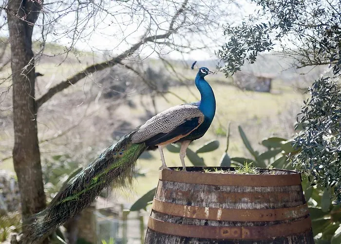 Aldeia Da Mata Pequena Mafra